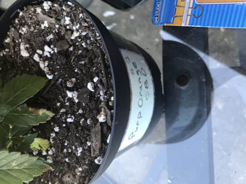 5F87B613-CB6E-45BC-AD89-5E78383BC7D7