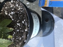 5F87B613-CB6E-45BC-AD89-5E78383BC7D7