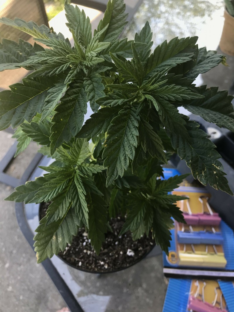 1E76F53D-8F1D-4038-885B-FC117EBC4990