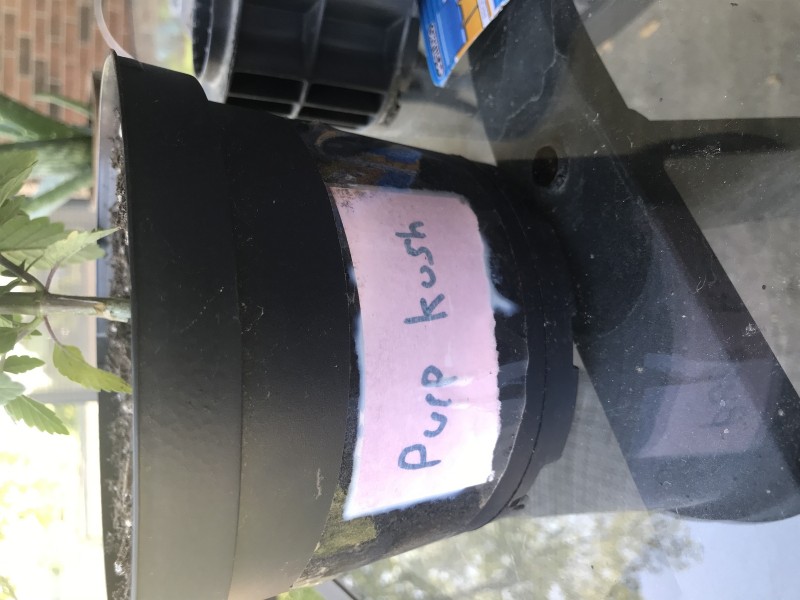 D7F42B1D-CE8D-4FB0-BB09-4CC344CACDC4