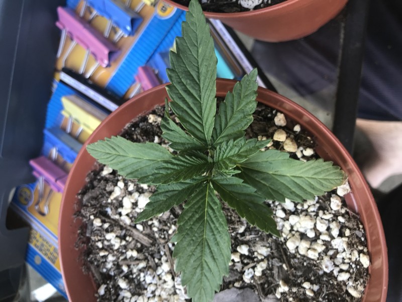 D1C2115C-933B-42CE-8FC5-72B5D540196D