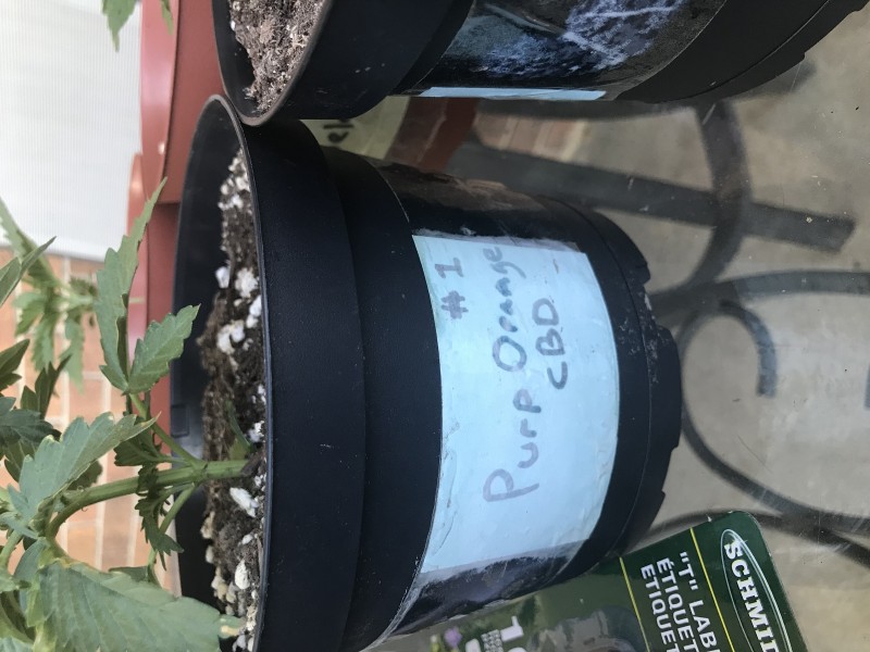 FADD697C-3041-4DAB-BBEC-833CCF96F8FA