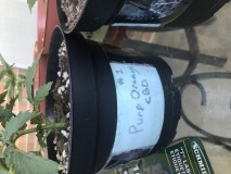 FADD697C-3041-4DAB-BBEC-833CCF96F8FA