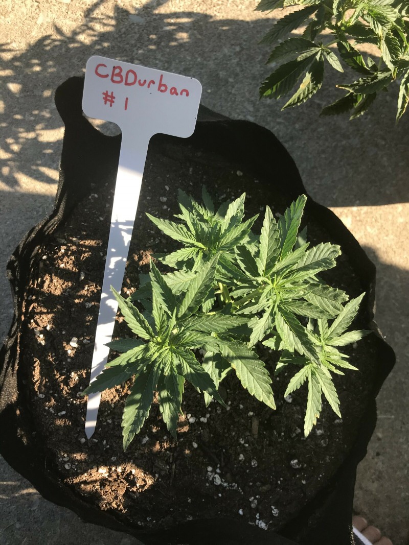 CE252699-7197-416E-A516-0E62570D44E7