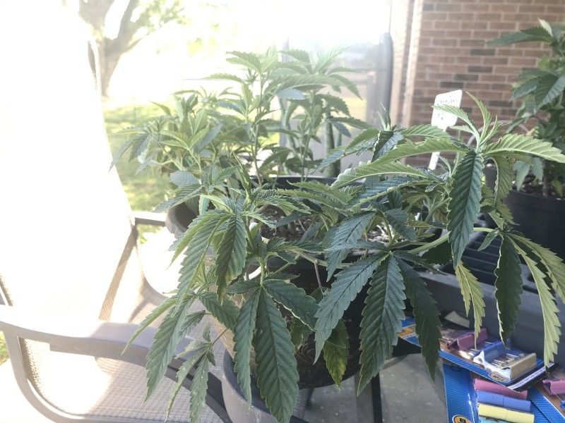 47D1C2FF-5254-4AE3-A7F9-6A9FAFF42F1A