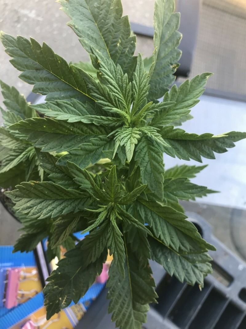 D9DADD0A-8E02-487E-850F-9A05E641202C