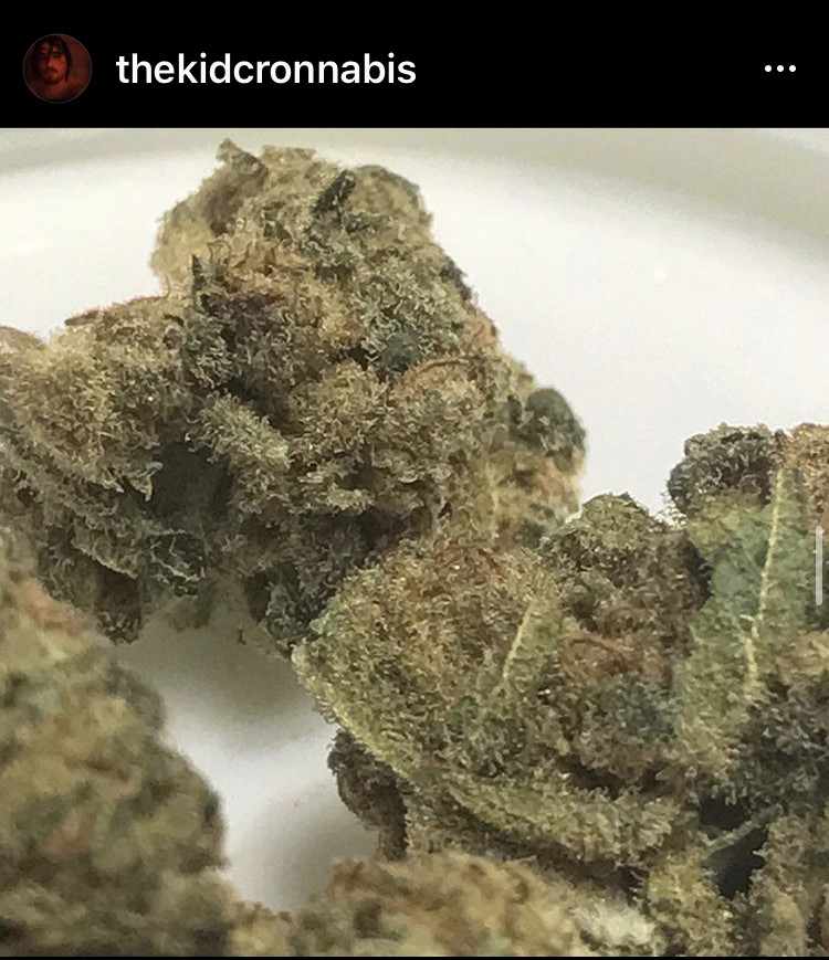 D267CDD0-72BD-4AC3-B680-C9D937FE8E69