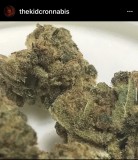 D267CDD0-72BD-4AC3-B680-C9D937FE8E69