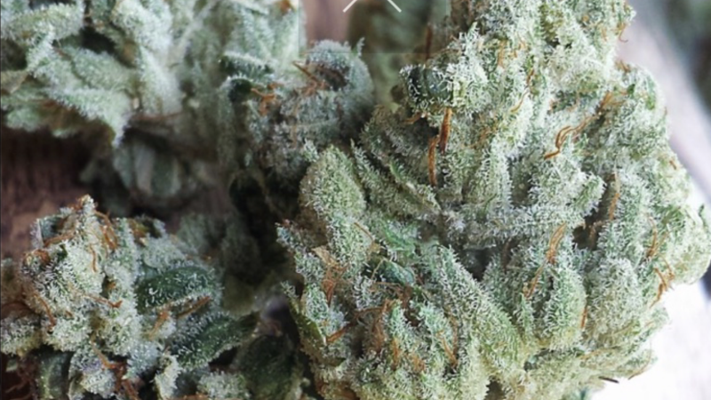 62D69EFE-C7EE-4EDD-894B-FE4B3CFD62E1