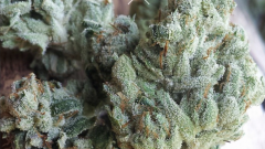 62D69EFE-C7EE-4EDD-894B-FE4B3CFD62E1