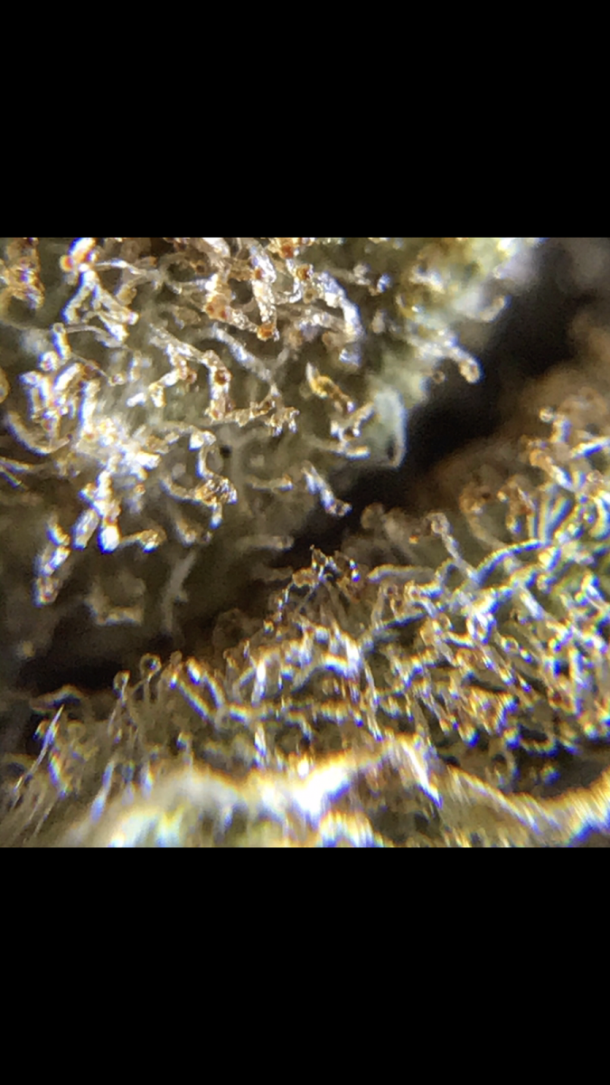 5E1D2746-A9AB-4258-B8E0-6E6B7062E8C3