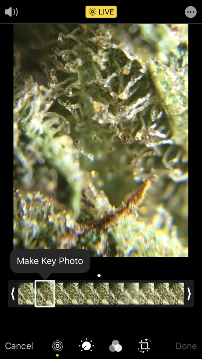 9F37E582-E38D-4B12-8FEE-E1CEF870838A