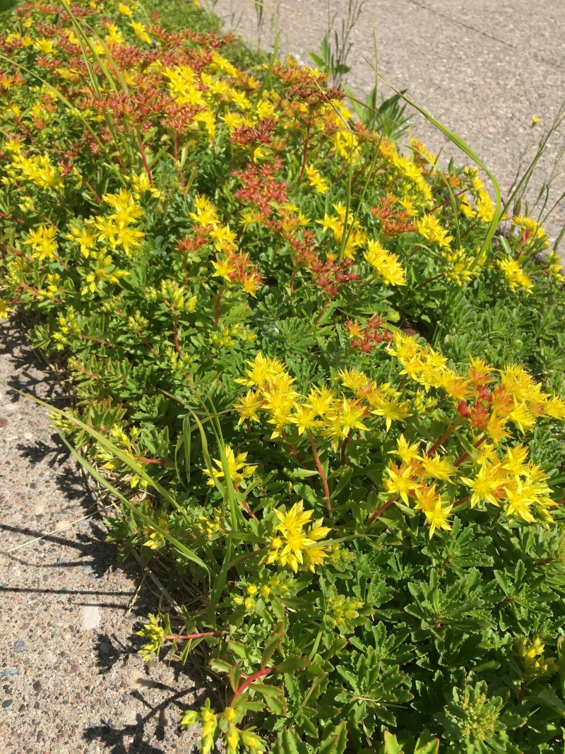 7902A4C6-DBB8-4AFE-AA52-BCFD652BB724