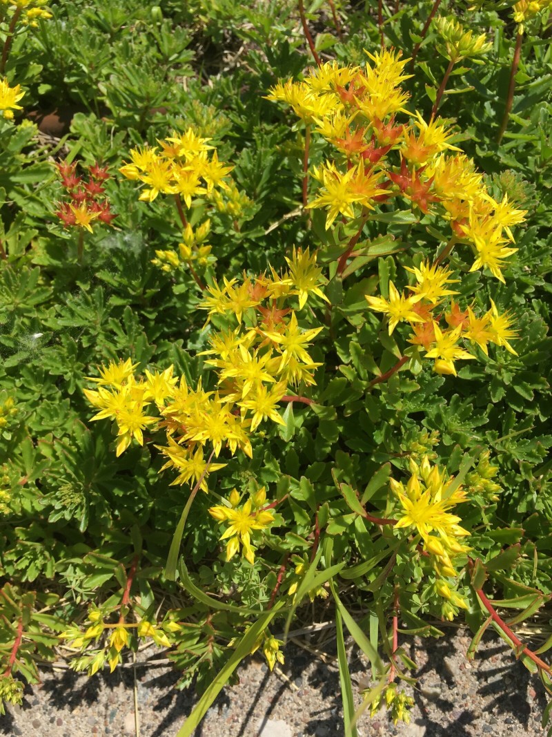 3B038A0E-27BE-461F-9805-8A0488EC16C6