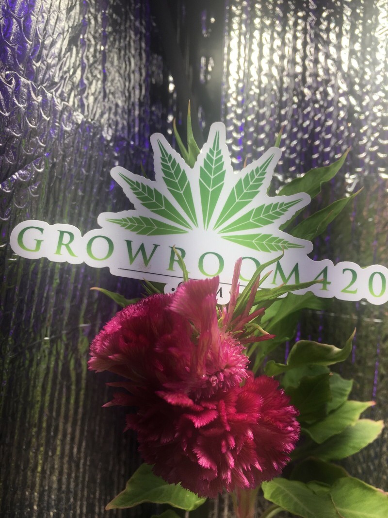 15A25B02-2631-4E6E-87DC-27E007A2CC01