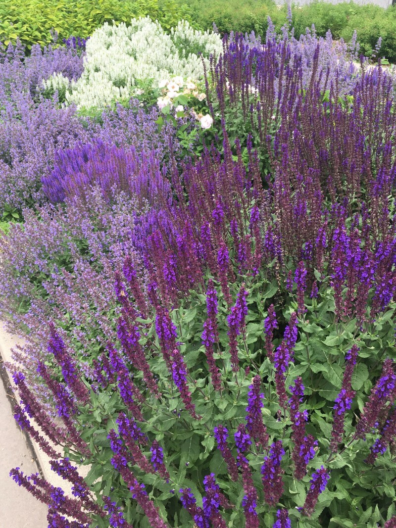 6DED4DFD-945E-4E10-9A99-99B1E747F4AC