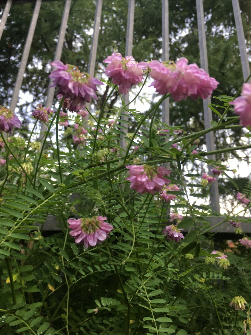 8E805951-8C46-42D0-9232-BC9AC000F6AE