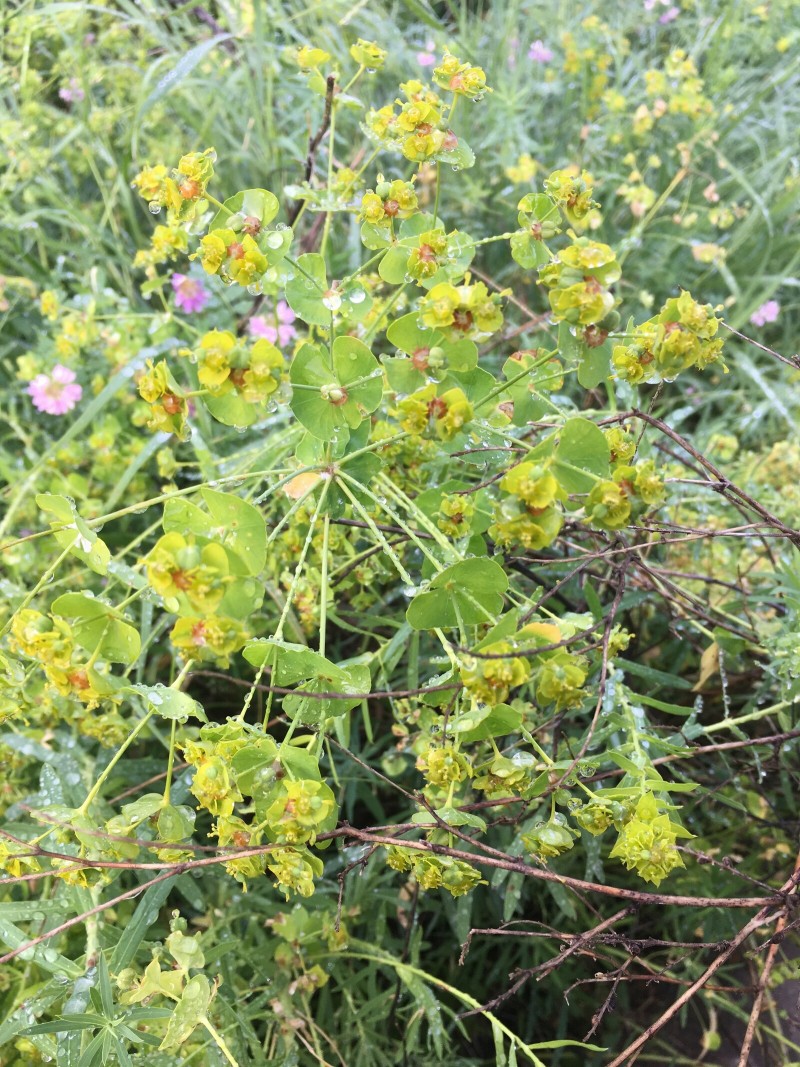 8F728406-698F-4E7D-AC1E-2B2A1681476C