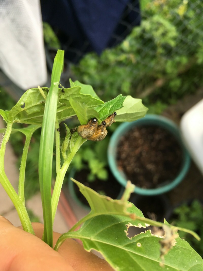 4567E42A-F838-49F7-868A-B0641C42792A