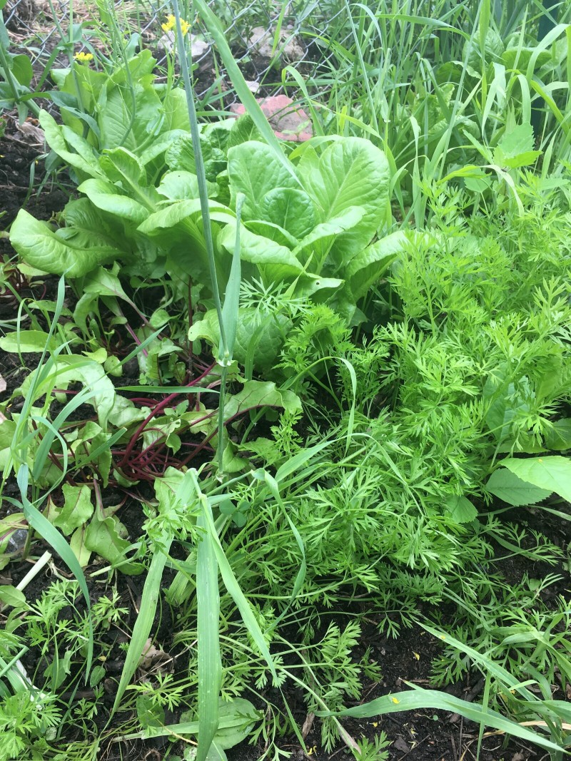 0EA2A1B2-B4AB-414D-AC67-1B4E788493CC