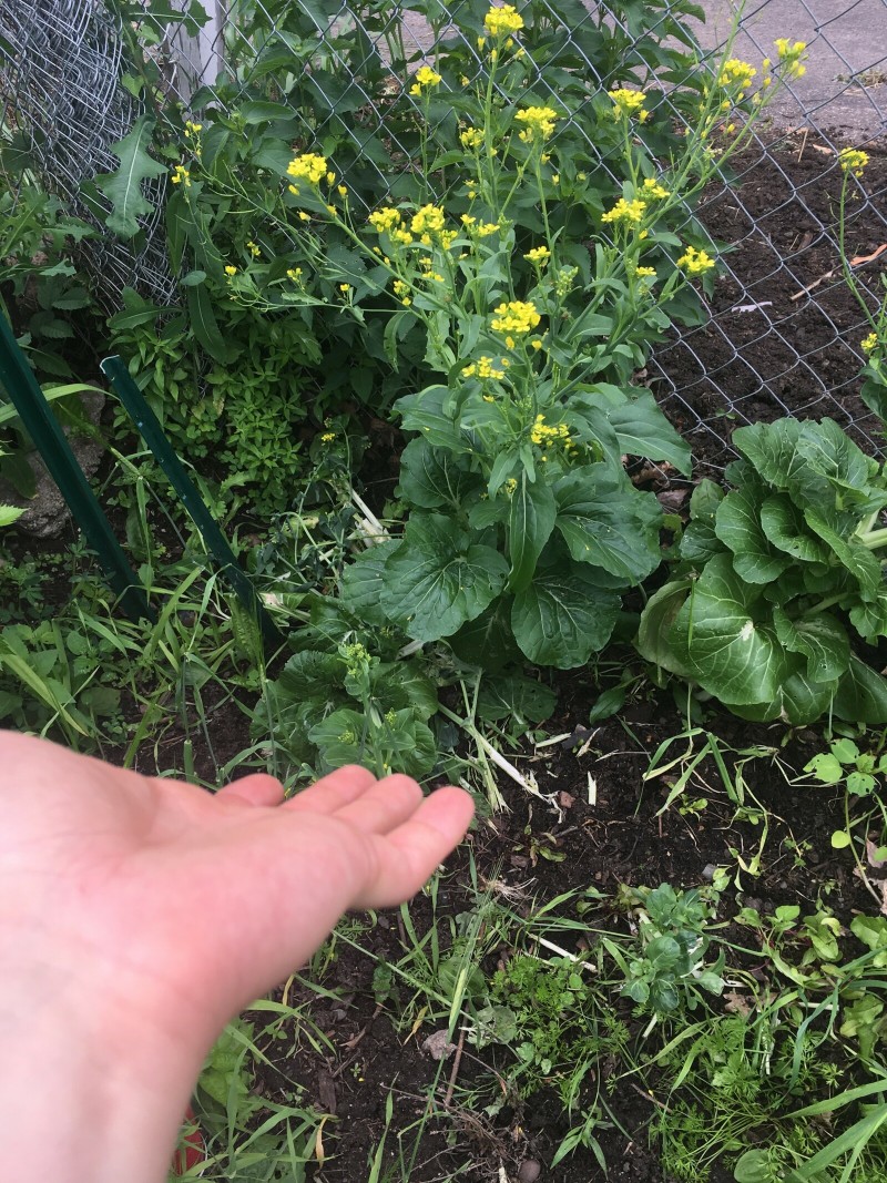 9FCF0173-8C38-4A7E-925D-53CB1DED4C3C