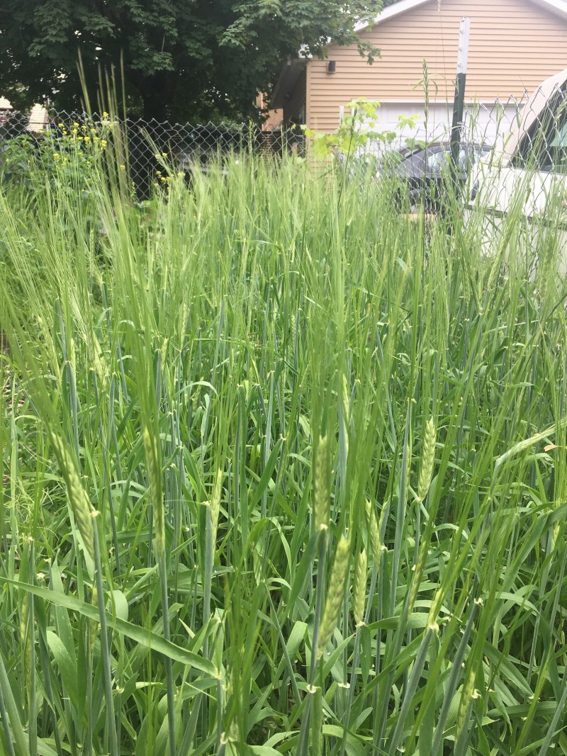 F546BF34-CBE6-4D0C-89DC-8C4D658E69B1