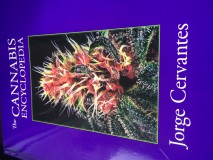 3A376439-642A-4E53-B50B-02E2BE39D96D