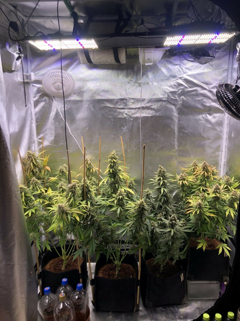 Day 63