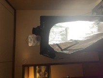 AE67262F-19DA-4C49-9307-632DEDA0927C