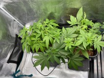 3E319A4D-6FFF-417A-9099-8F7D932CE190