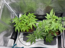 659091CD-3C2B-4393-89ED-D22A0C159160