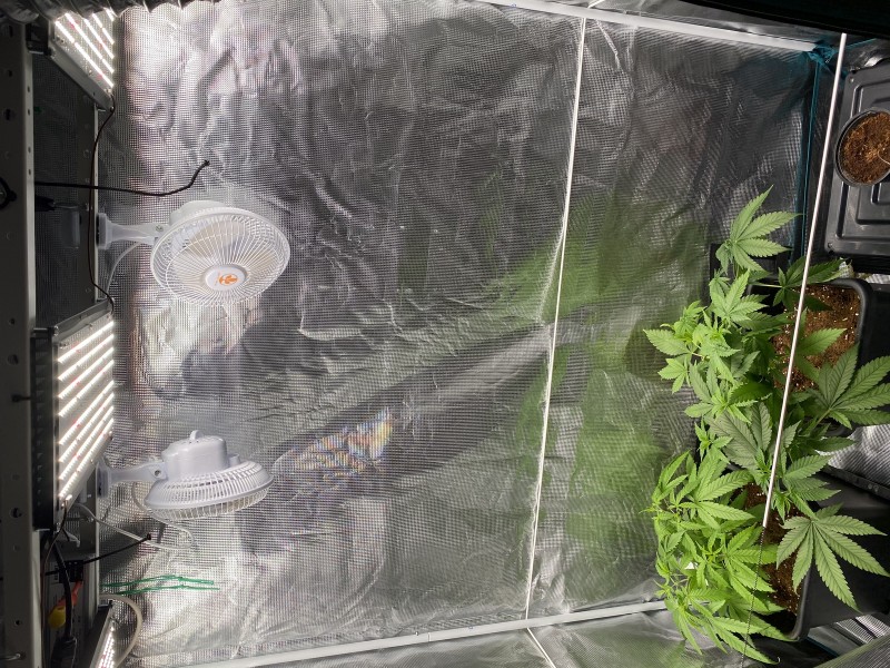 8EFEA022-C041-4095-9713-D3D9390253AD