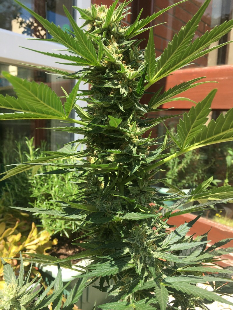 D2A55885-6C08-4339-8181-B7EE866D6B8A