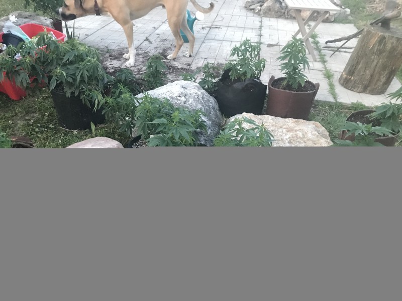 774C3F2F-3547-46B0-BBEB-63823AE42A31