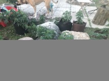 774C3F2F-3547-46B0-BBEB-63823AE42A31