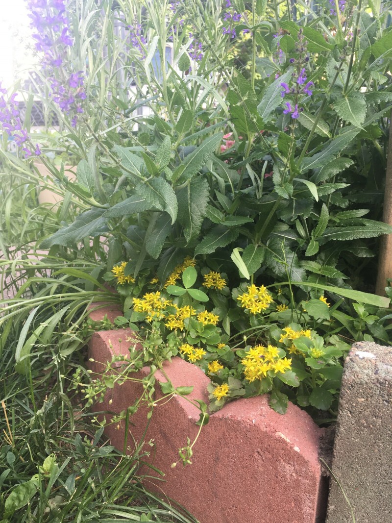 3412F7AA-C062-4E5A-A2F8-537880503583