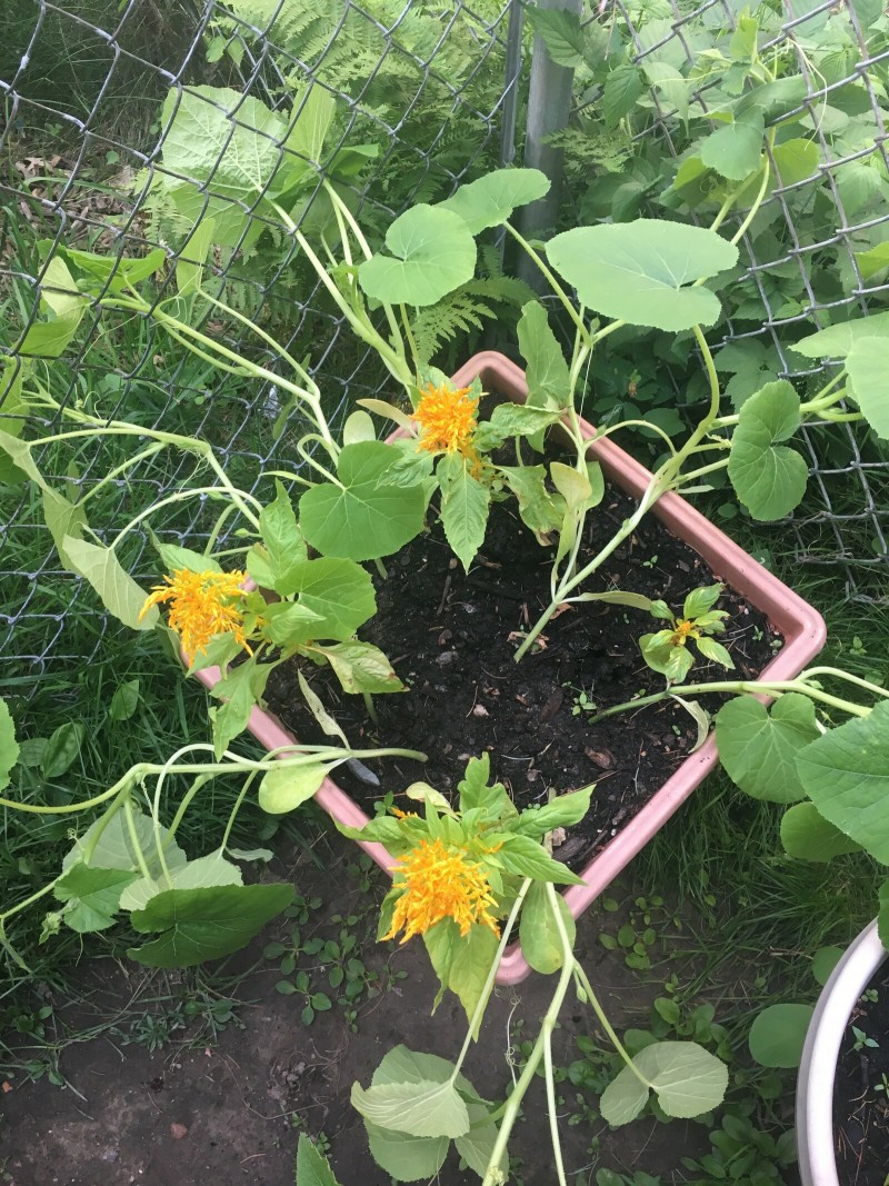 C5DAA964-78D6-4DBC-B1FB-CDC6C6CA34FB