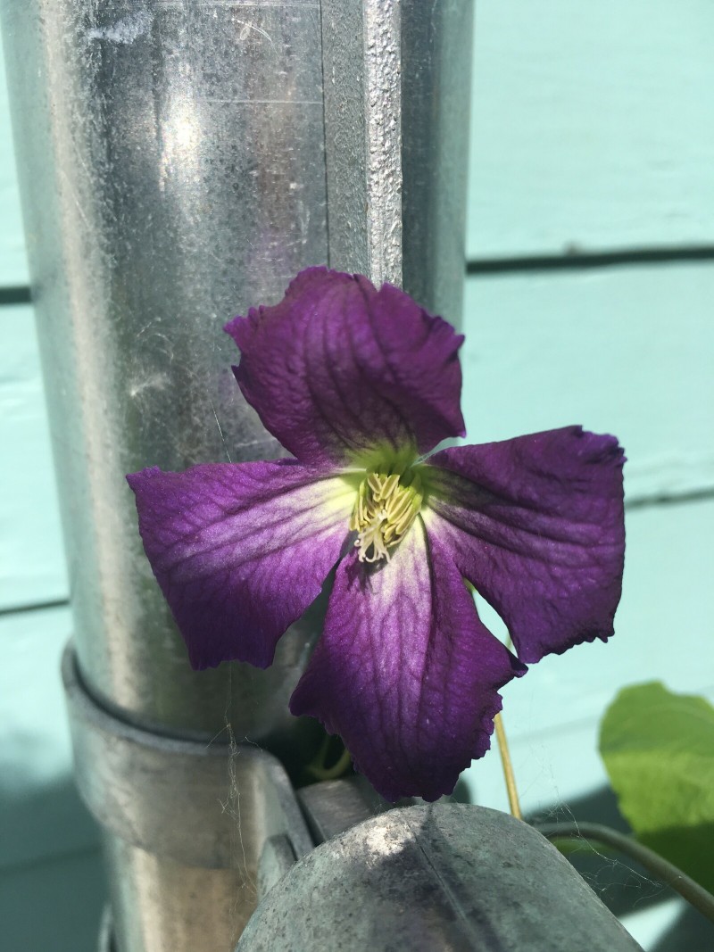 01A33F94-47E9-41ED-8297-1E865F30B0A2