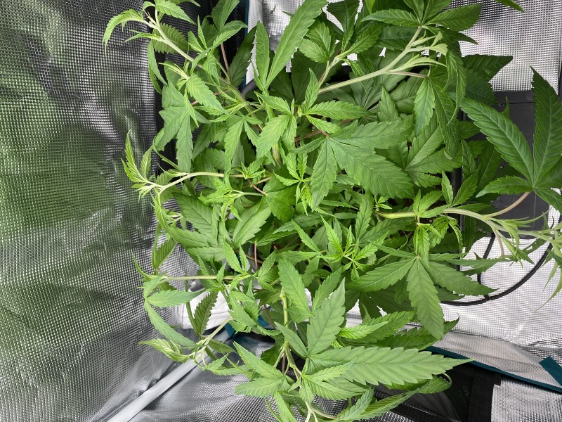 CA96CA54-A3D8-4571-A310-03F4B5C52395