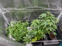 7ABF2207-B404-484B-BC8C-07C065AD80FB