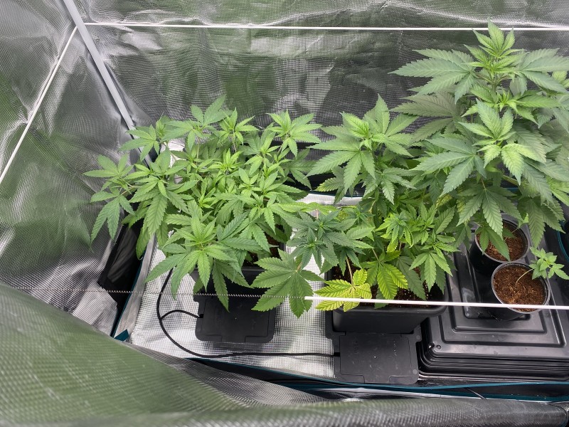 127DBD87-E0B7-4BF4-8624-27C71994ED9F