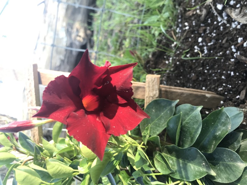 4A2B8DD0-742F-4C94-8427-83E838FFB1E2