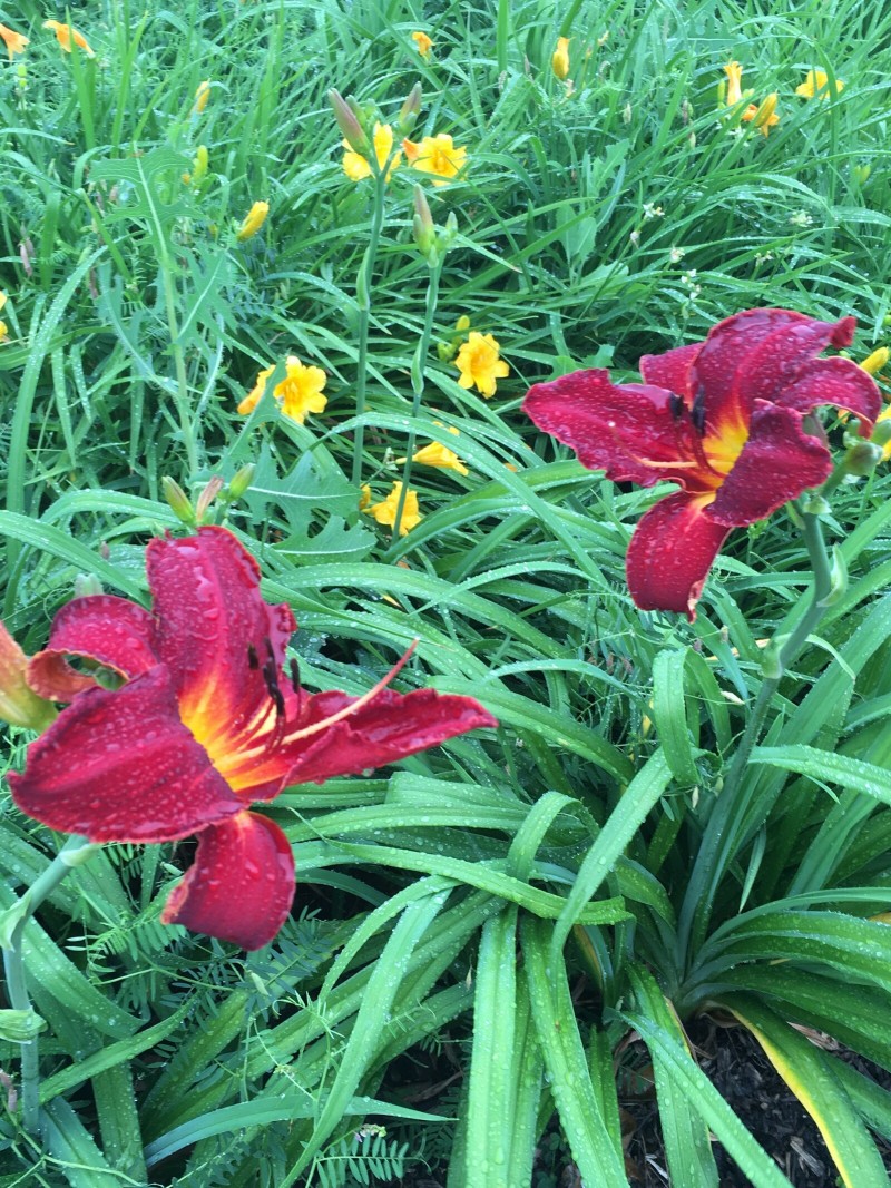 3D866F4F-938B-4EE6-AC9D-4220720BC373