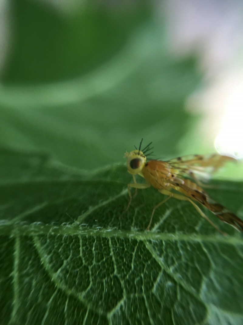 2B2618B4-7828-427F-8FD8-0DD60F35B465