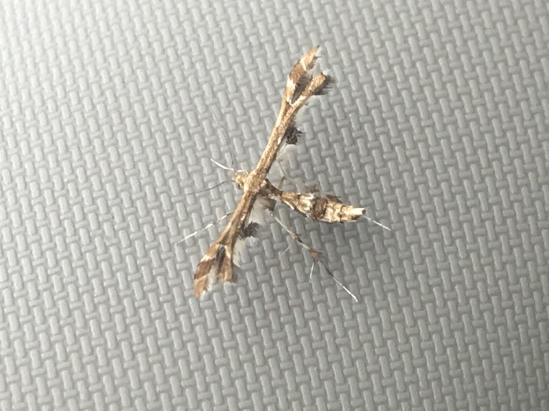 0CB87719-0D74-4A86-AD99-B62067C659F3