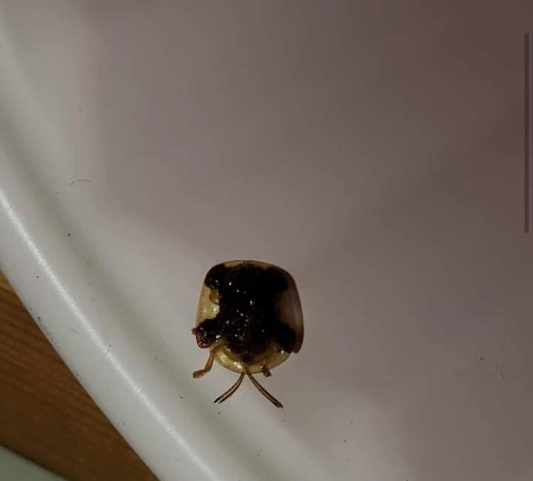 2D9BD0C3-5884-4827-A395-2C69E65E3DD8