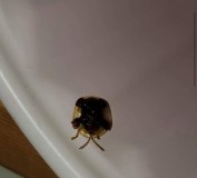 2D9BD0C3-5884-4827-A395-2C69E65E3DD8