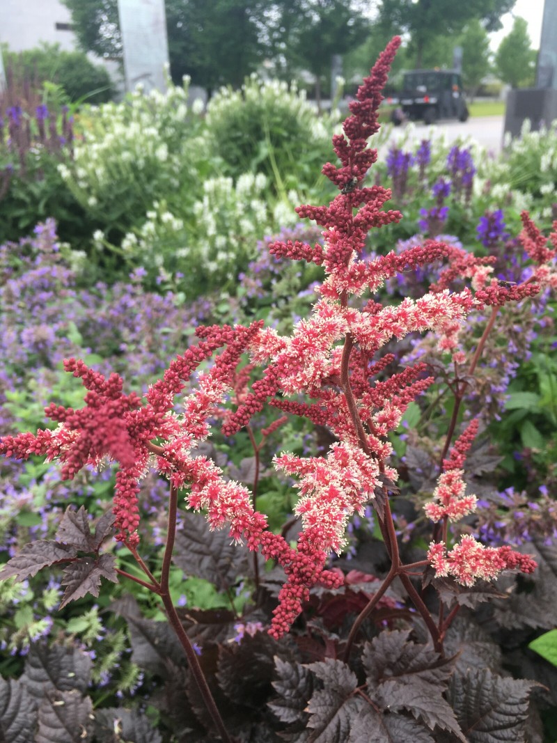 2FC029FF-CBAE-41AE-9F61-E4704B3DC537