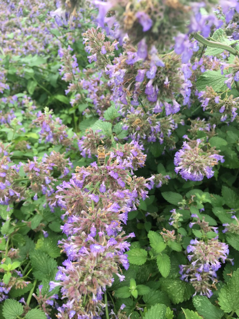 E23BC654-654C-48D1-933B-93D5F2C11316