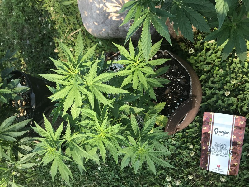 8FA0B206-9ABE-48C1-9C92-262C1481D1C1